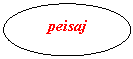Oval: peisaj