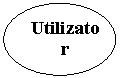 Oval: Utilizator
client
