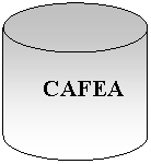 Flowchart: Magnetic Disk:    CAFEA
