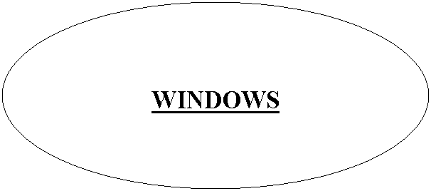 Oval: WINDOWS
