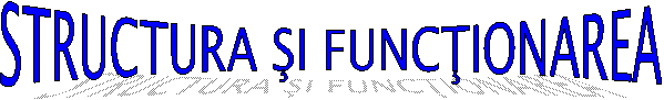 STRUCTURA sI FUNCŢIONAREA 