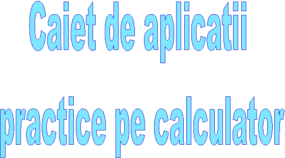 Caiet de aplicatii
 practice pe calculator

