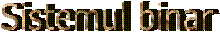 Sistemul binar