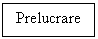 Text Box: Prelucrare