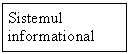 Text Box: Sistemul informational 