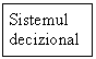 Text Box: Sistemul decizional