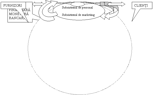 Rectangular Callout: PIAŢA FINANCIARĂ MONETARĂ BANCARĂ,Rectangular Callout: FURNIZORI