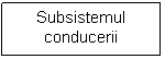 Text Box: Subsistemul conducerii