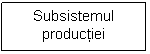 Text Box: Subsistemul productiei