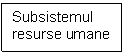 Text Box: Subsistemul resurse umane