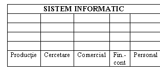 Text Box: SISTEM INFORMATIC
 
 
 
 
Productie Cercetare Comercial Fin.-cont Personal 

