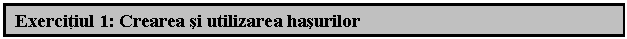 Text Box: Exercitiul 1: Crearea si utilizarea hasurilor