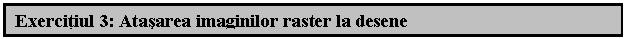 Text Box: Exercitiul 3: Atasarea imaginilor raster la desene