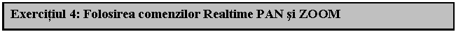 Text Box: Exercitiul 4: Folosirea comenzilor Realtime PAN si ZOOM

