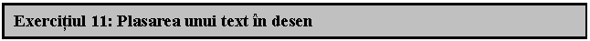 Text Box: Exercitiul 11: Plasarea unui text n desen