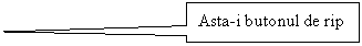 Rectangular Callout: Asta-i butonul de rip