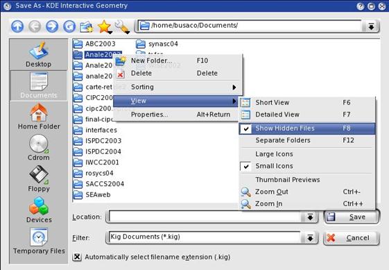 Salvarea unui fisier prin Save As