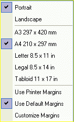 Prezenta optiunilor flip-flop intr-un meniu