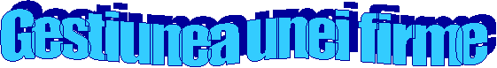 Gestiunea unei firme