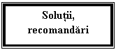 Text Box: Solutii, recomandari