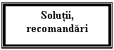 Text Box: Solutii, recomandari

