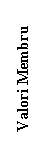 Text Box: Valori Membru
