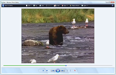 Edit and view video clips in Windows Photo Gallery