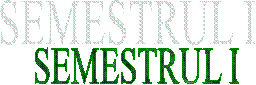 SEMESTRUL I