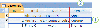Tabelul Clienți afișnd aspectul nregistrarilor și a cmpurilor