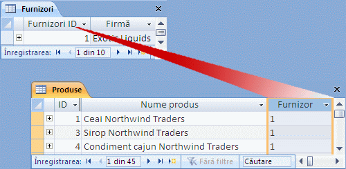 Conceptul relației de tipul unul la mai mulți