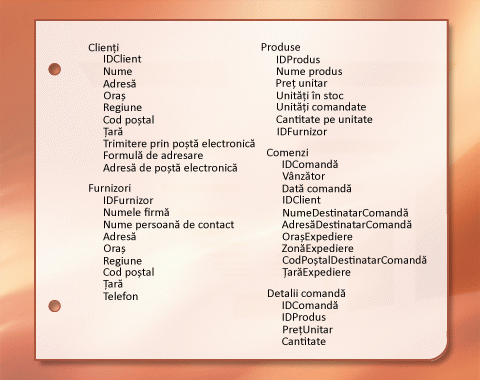 Lista elementelor cu informații n timpul procesului de proiectare