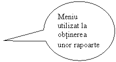 Oval Callout: Meniu utilizat la obtinerea unor rapoarte