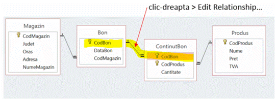 vmware-hostShared FoldersDocumentsPREDARE2013-Sem 1-BDAccess02_Interogariint 33.PNG