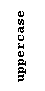 Text Box: uppercase