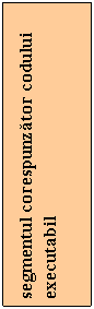 Text Box: segmentul corespunzator codului executabil