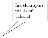 Rectangular Callout: In celula apare rezultatul calculat