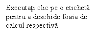 Text Box: Executati clic pe o eticheta pentru a deschide foaia de calcul respectiva