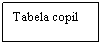 Text Box: Tabela copil