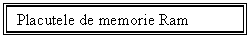 Text Box: Placutele de memorie Ram