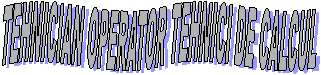 TEHNICIAN OPERATOR TEHNICI DE CALCUL