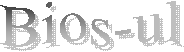 Bios-ul
