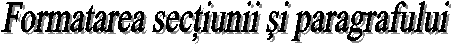 Formatarea sectiunii si paragrafului