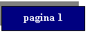 Text Box: pagina 1
