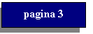 Text Box: pagina 3