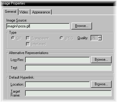 Text inserat in casuta "Alternative Representation"