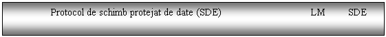 Text Box: Protocol de schimb protejat de date (SDE) LM SDE