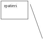 Line Callout 2: spatieri
