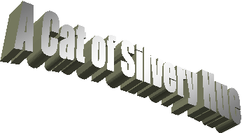 A Cat of Silvery Hue