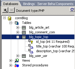 Viewing the database information using the Databases tab of the Application panel group