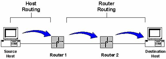 Unicast Routing Principles